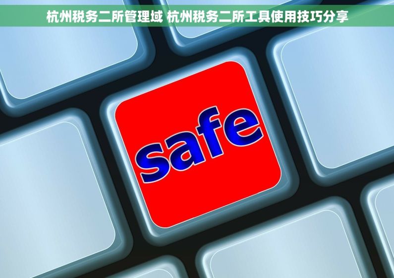 杭州税务二所管理域 杭州税务二所工具使用技巧分享
