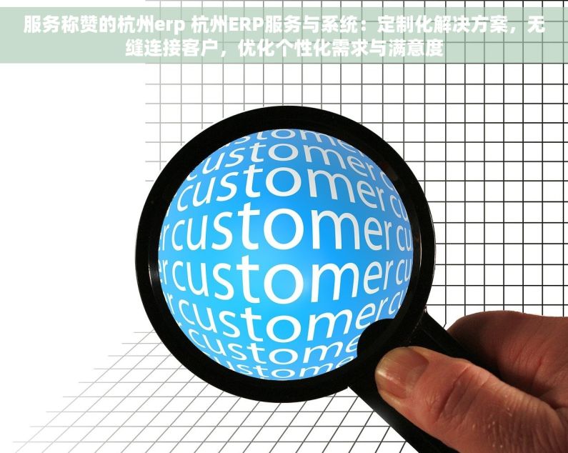 服务称赞的杭州erp 杭州ERP服务与系统：定制化解决方案，无缝连接客户，优化个性化需求与满意度