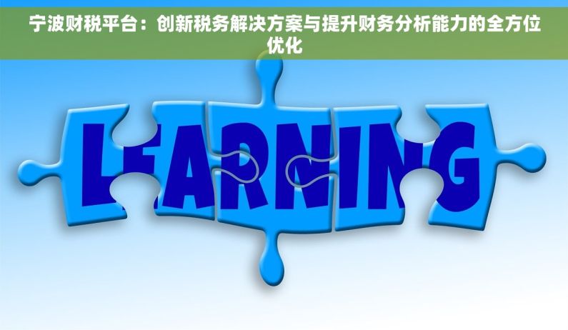 宁波财税平台：创新税务解决方案与提升财务分析能力的全方位优化