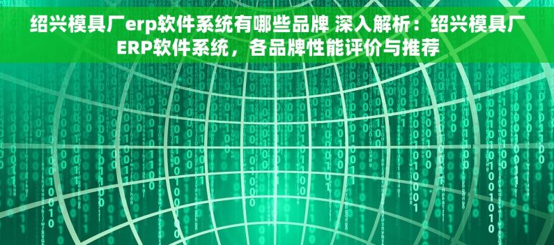 绍兴模具厂erp软件系统有哪些品牌 深入解析：绍兴模具厂ERP软件系统，各品牌性能评价与推荐