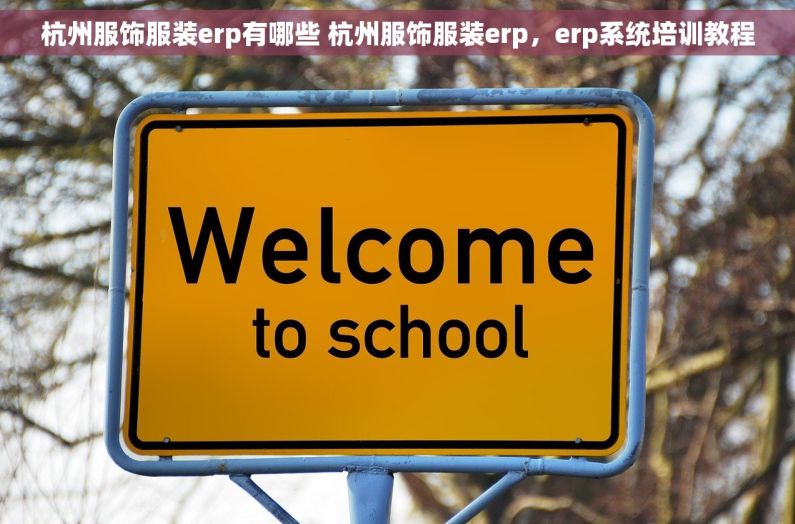 杭州服饰服装erp有哪些 杭州服饰服装erp，erp系统培训教程