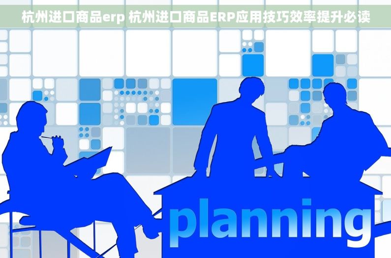 杭州进口商品erp 杭州进口商品ERP应用技巧效率提升必读