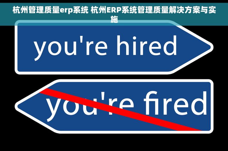 杭州管理质量erp系统 杭州ERP系统管理质量解决方案与实施