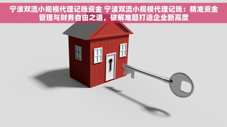 宁波双流小规模代理记账资金 宁波双流小规模代理记账：精准资金管理与财务自由之道，破解难题打造企业新高度