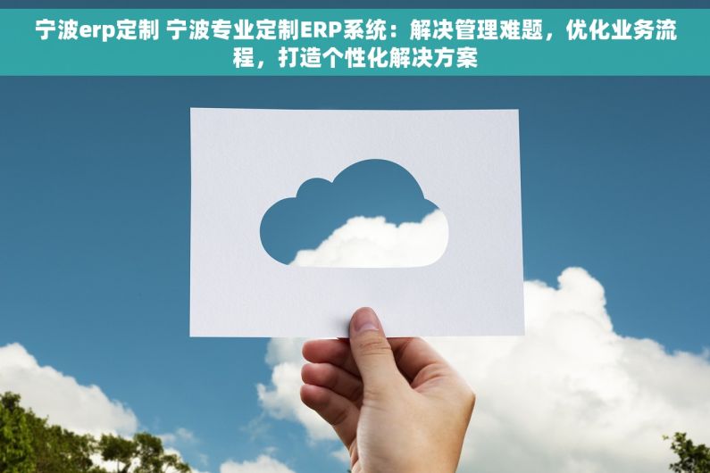 宁波erp定制 宁波专业定制ERP系统：解决管理难题，优化业务流程，打造个性化解决方案