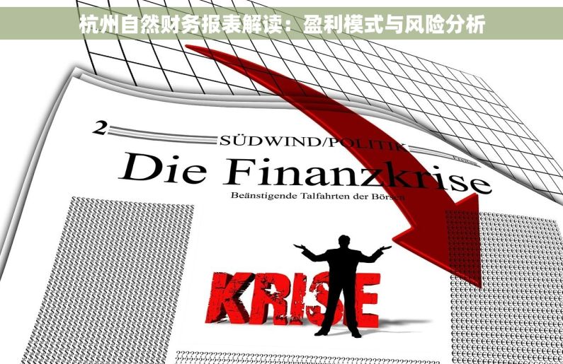 杭州自然财务报表解读：盈利模式与风险分析