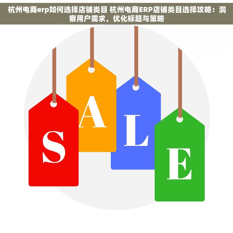 杭州电商erp如何选择店铺类目 杭州电商ERP店铺类目选择攻略：洞察用户需求，优化标题与策略