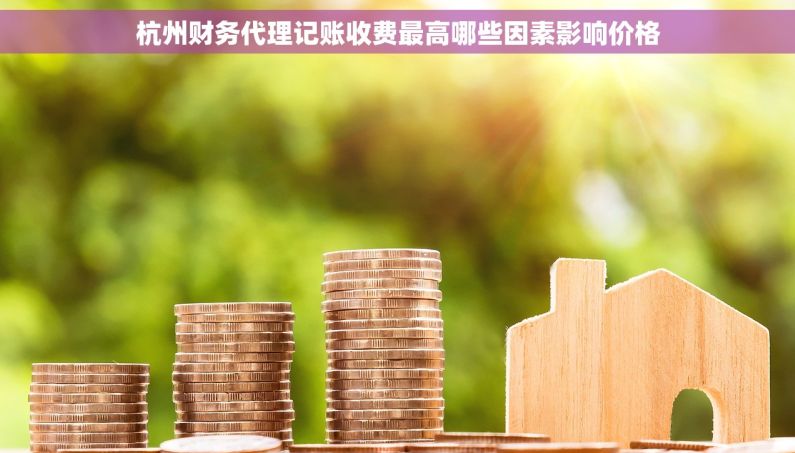 杭州财务代理记账收费最高哪些因素影响价格