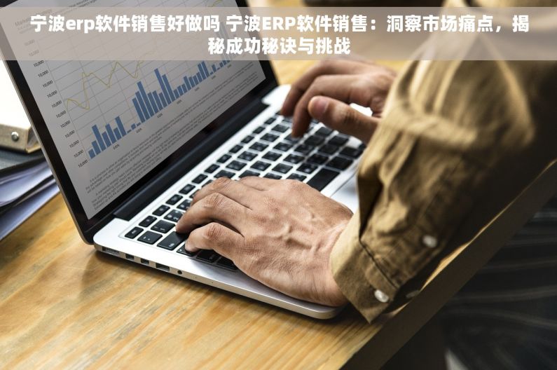 宁波erp软件销售好做吗 宁波ERP软件销售：洞察市场痛点，揭秘成功秘诀与挑战