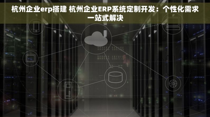 杭州企业erp搭建 杭州企业ERP系统定制开发：个性化需求一站式解决