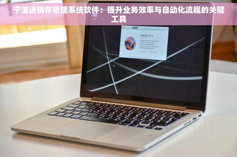 宁波进销存管理系统软件：提升业务效率与自动化流程的关键工具