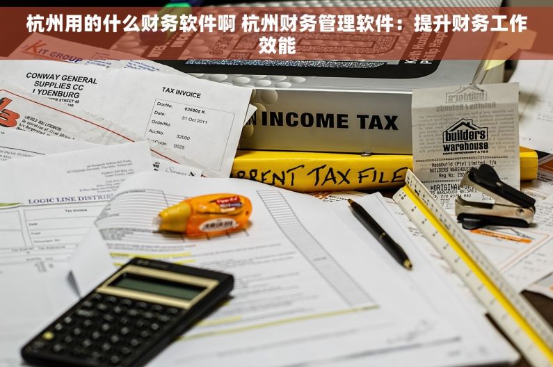 杭州用的什么财务软件啊 杭州财务管理软件：提升财务工作效能