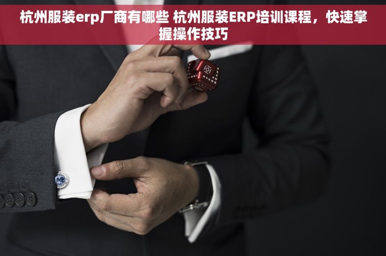 杭州服装erp厂商有哪些 杭州服装ERP培训课程，快速掌握操作技巧