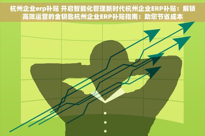 杭州企业erp补贴 开启智能化管理新时代杭州企业ERP补贴：解锁高效运营的金钥匙杭州企业ERP补贴指南：助您节省成本