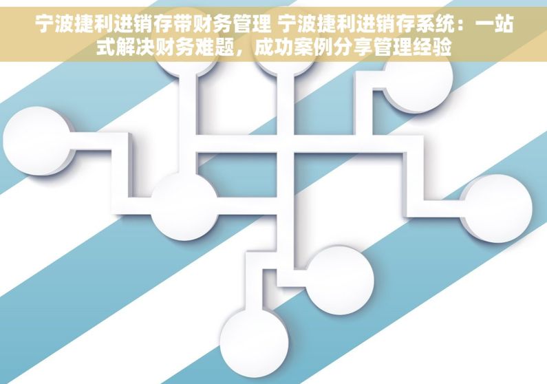 宁波捷利进销存带财务管理 宁波捷利进销存系统：一站式解决财务难题，成功案例分享管理经验