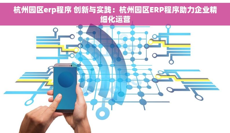杭州园区erp程序 创新与实践：杭州园区ERP程序助力企业精细化运营