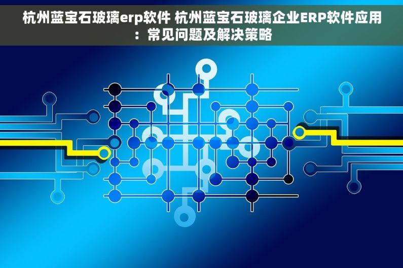 杭州蓝宝石玻璃erp软件 杭州蓝宝石玻璃企业ERP软件应用：常见问题及解决策略