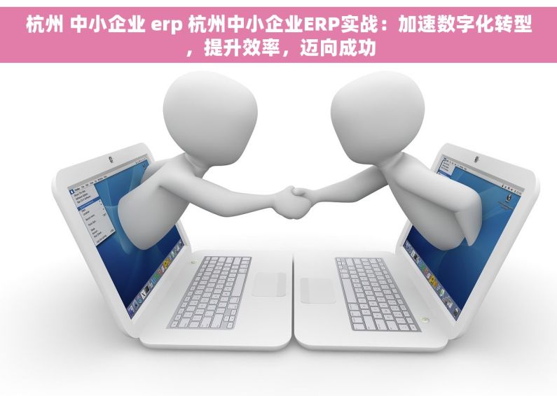 杭州 中小企业 erp 杭州中小企业ERP实战：加速数字化转型，提升效率，迈向成功