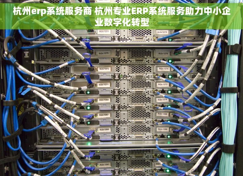 杭州erp系统服务商 杭州专业ERP系统服务助力中小企业数字化转型