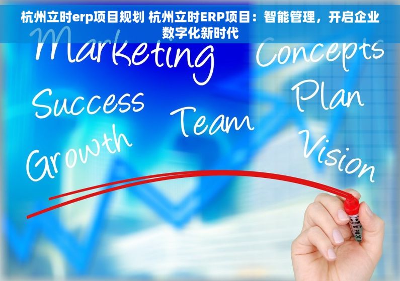 杭州立时erp项目规划 杭州立时ERP项目：智能管理，开启企业数字化新时代
