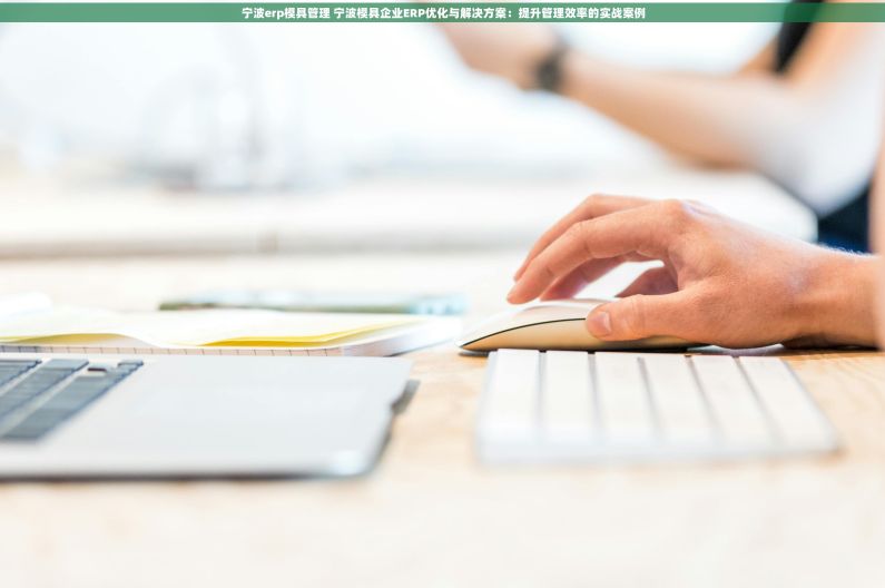 宁波erp模具管理 宁波模具企业ERP优化与解决方案：提升管理效率的实战案例