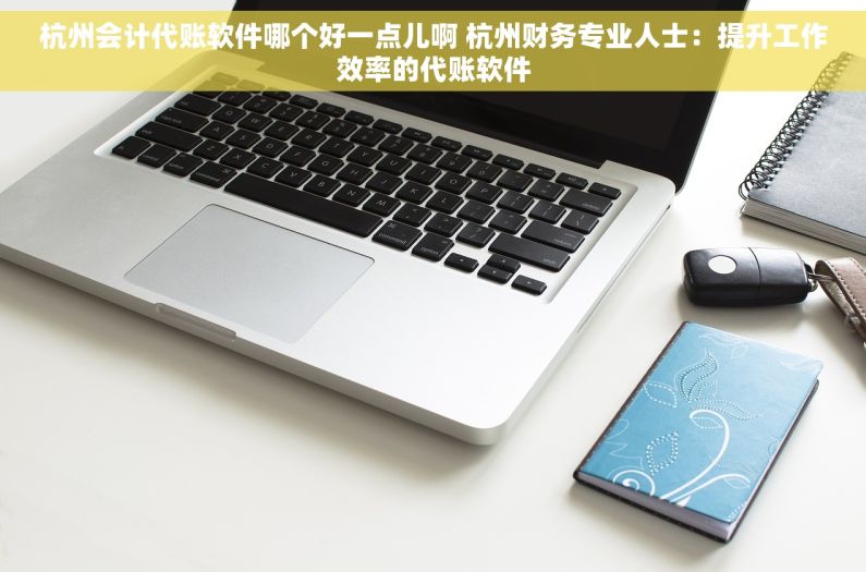 杭州会计代账软件哪个好一点儿啊 杭州财务专业人士：提升工作效率的代账软件
