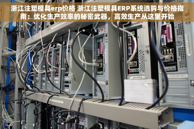 浙江注塑模具erp价格 浙江注塑模具ERP系统选购与价格指南：优化生产效率的秘密武器，高效生产从这里开始