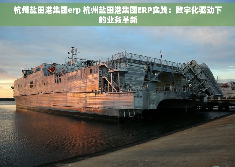 杭州盐田港集团erp 杭州盐田港集团ERP实践：数字化驱动下的业务革新
