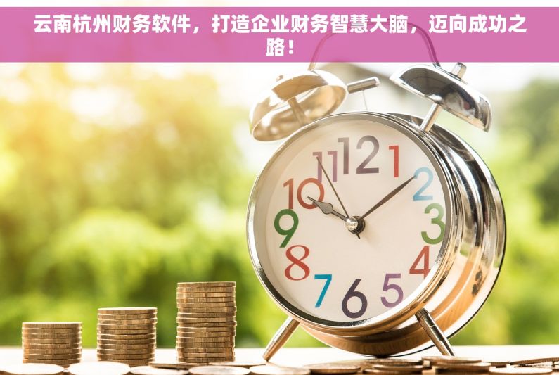 云南杭州财务软件，打造企业财务智慧大脑，迈向成功之路！