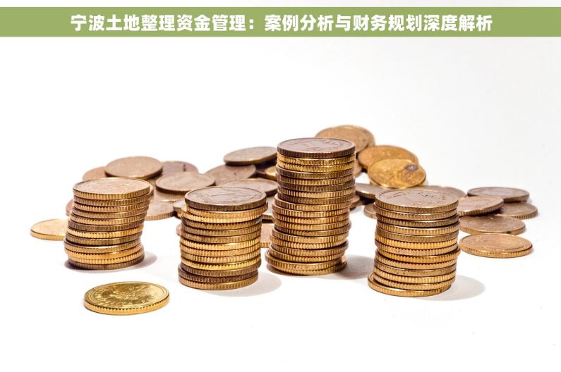 宁波土地整理资金管理：案例分析与财务规划深度解析
