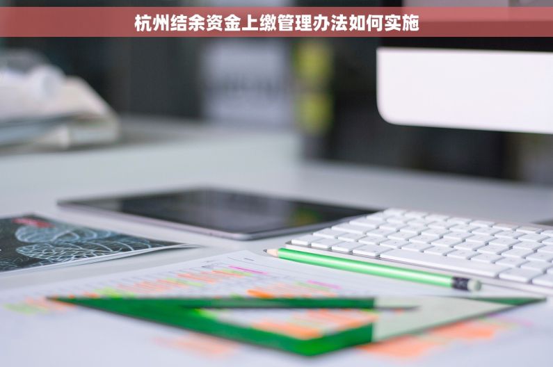 杭州结余资金上缴管理办法如何实施
