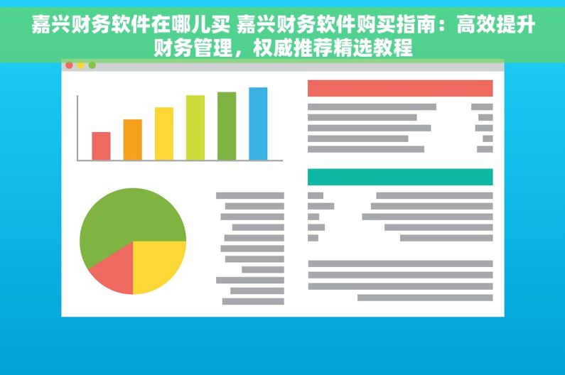 嘉兴财务软件在哪儿买 嘉兴财务软件购买指南：高效提升财务管理，权威推荐精选教程