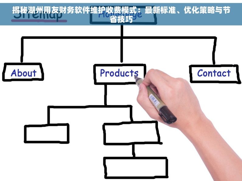 揭秘湖州用友财务软件维护收费模式：最新标准、优化策略与节省技巧