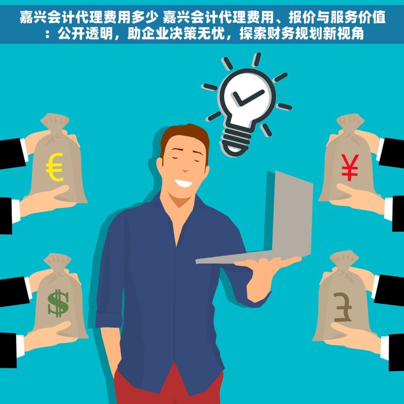 嘉兴会计代理费用多少 嘉兴会计代理费用、报价与服务价值：公开透明，助企业决策无忧，探索财务规划新视角