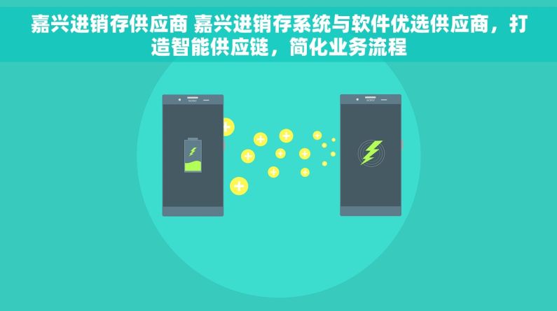 嘉兴进销存供应商 嘉兴进销存系统与软件优选供应商，打造智能供应链，简化业务流程