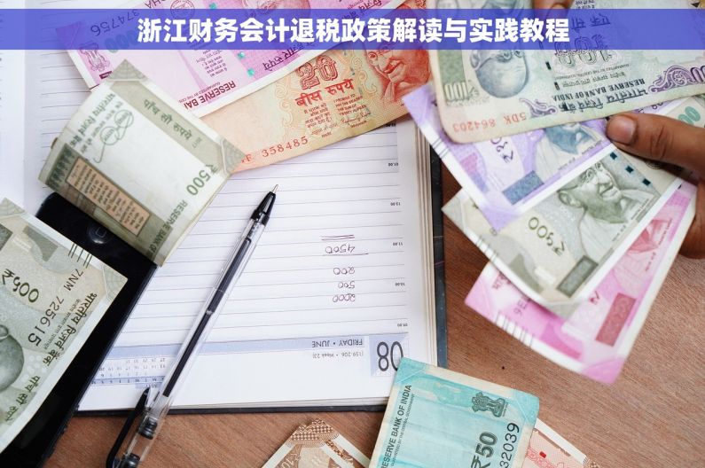 浙江财务会计退税政策解读与实践教程