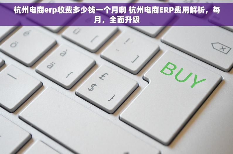杭州电商erp收费多少钱一个月啊 杭州电商ERP费用解析，每月，全面升级