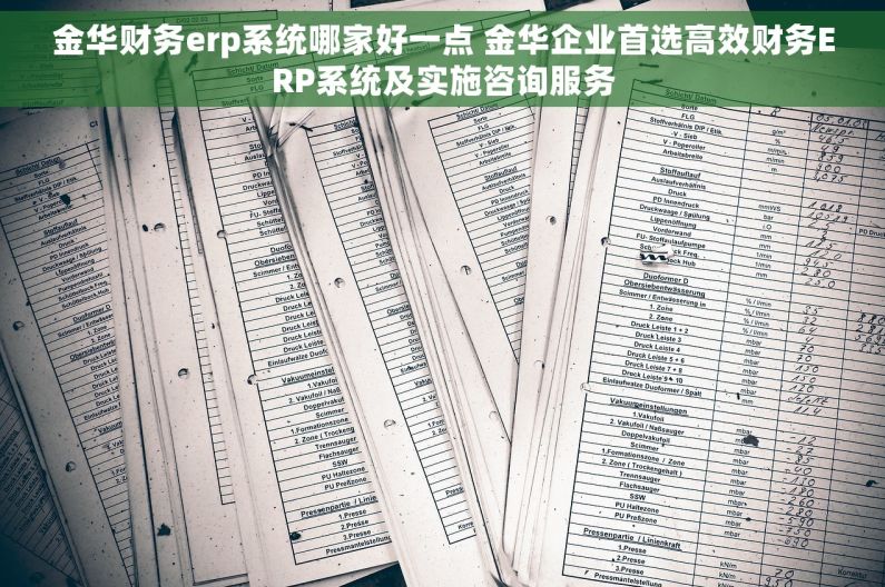 金华财务erp系统哪家好一点 金华企业首选高效财务ERP系统及实施咨询服务