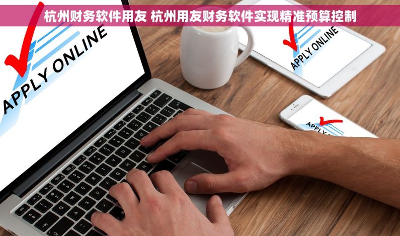 杭州财务软件用友 杭州用友财务软件实现精准预算控制