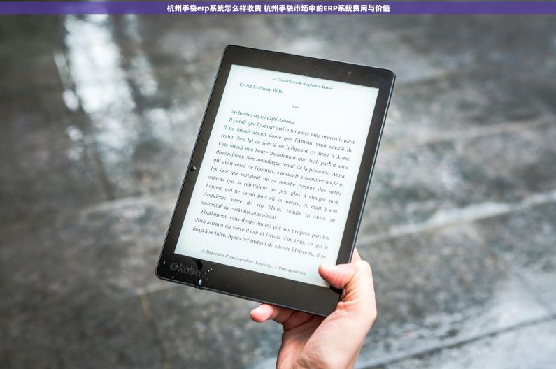 杭州手袋erp系统怎么样收费 杭州手袋市场中的ERP系统费用与价值