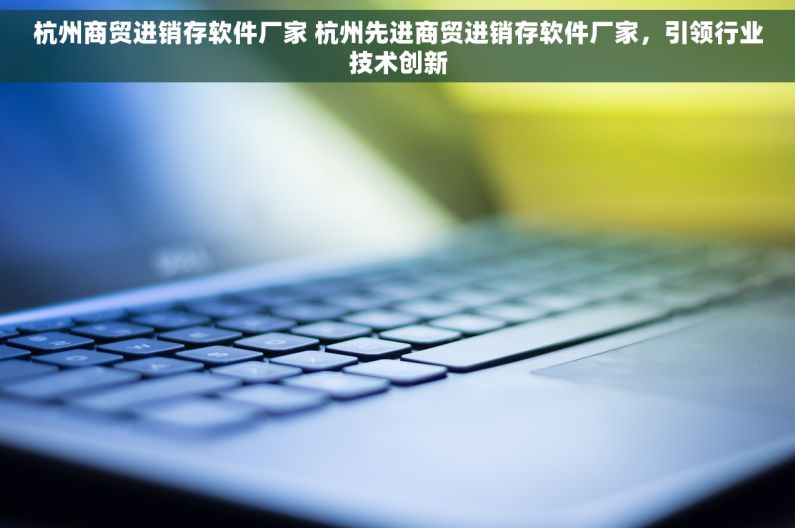 杭州商贸进销存软件厂家 杭州先进商贸进销存软件厂家，引领行业技术创新