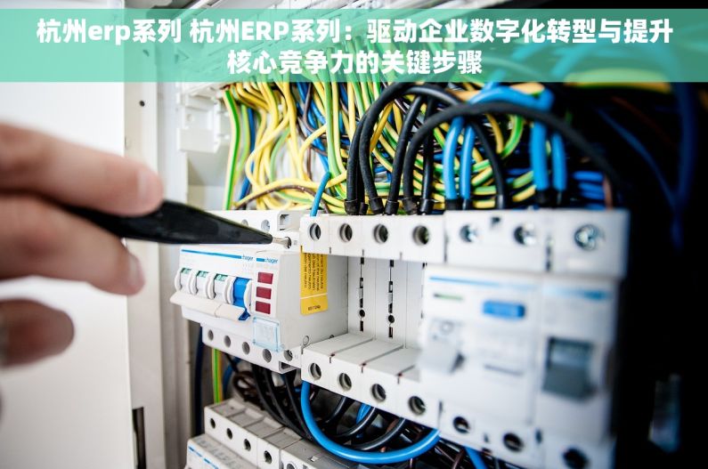 杭州erp系列 杭州ERP系列：驱动企业数字化转型与提升核心竞争力的关键步骤