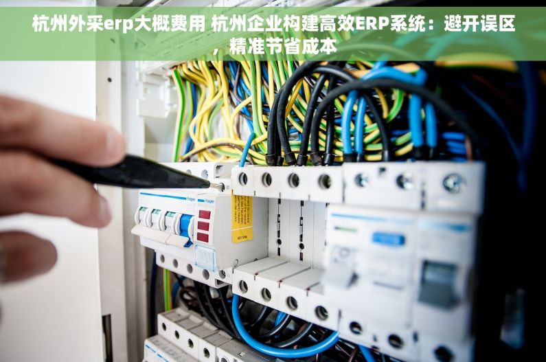 杭州外采erp大概费用 杭州企业构建高效ERP系统：避开误区，精准节省成本