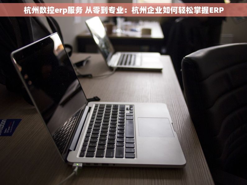 杭州数控erp服务 从零到专业：杭州企业如何轻松掌握ERP