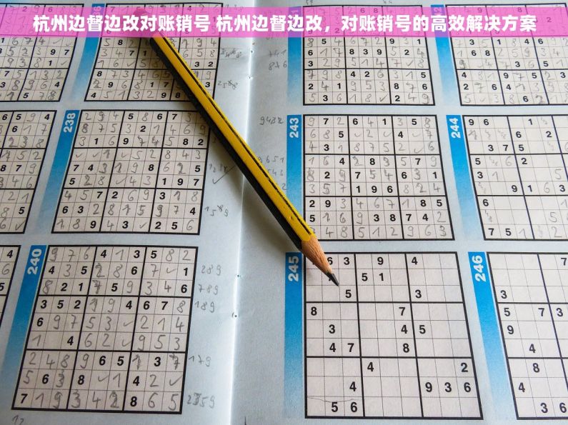 杭州边督边改对账销号 杭州边督边改，对账销号的高效解决方案