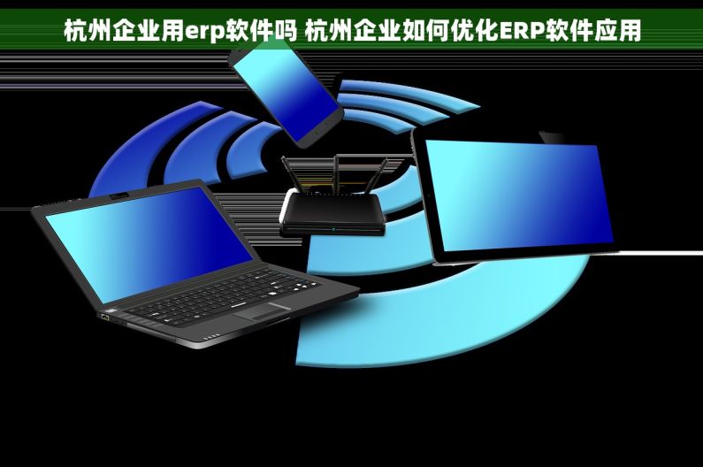 杭州企业用erp软件吗 杭州企业如何优化ERP软件应用