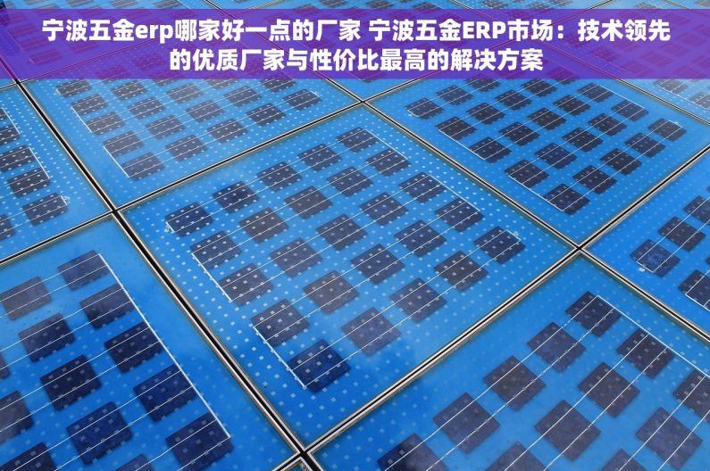 宁波五金erp哪家好一点的厂家 宁波五金ERP市场：技术领先的优质厂家与性价比最高的解决方案