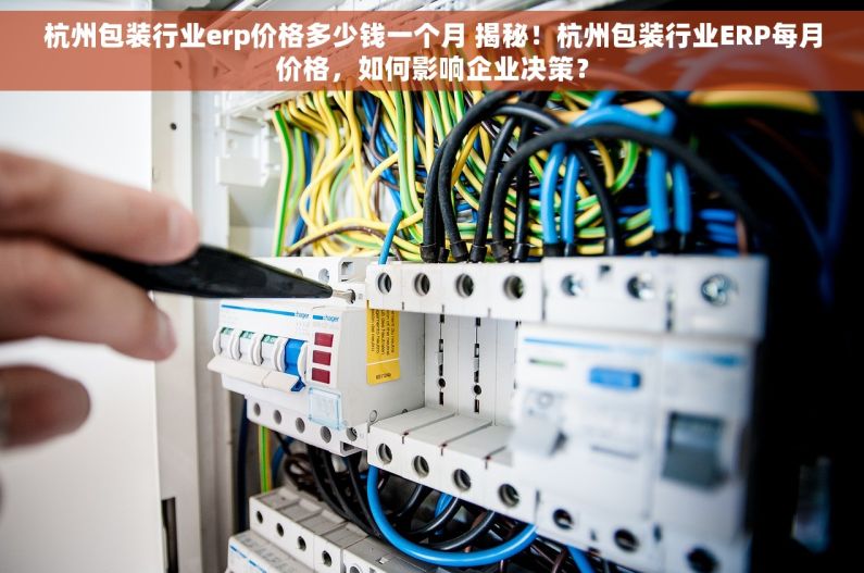 杭州包装行业erp价格多少钱一个月 揭秘！杭州包装行业ERP每月价格，如何影响企业决策？