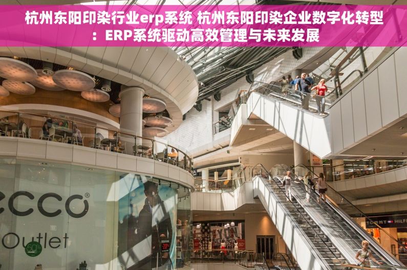 杭州东阳印染行业erp系统 杭州东阳印染企业数字化转型：ERP系统驱动高效管理与未来发展