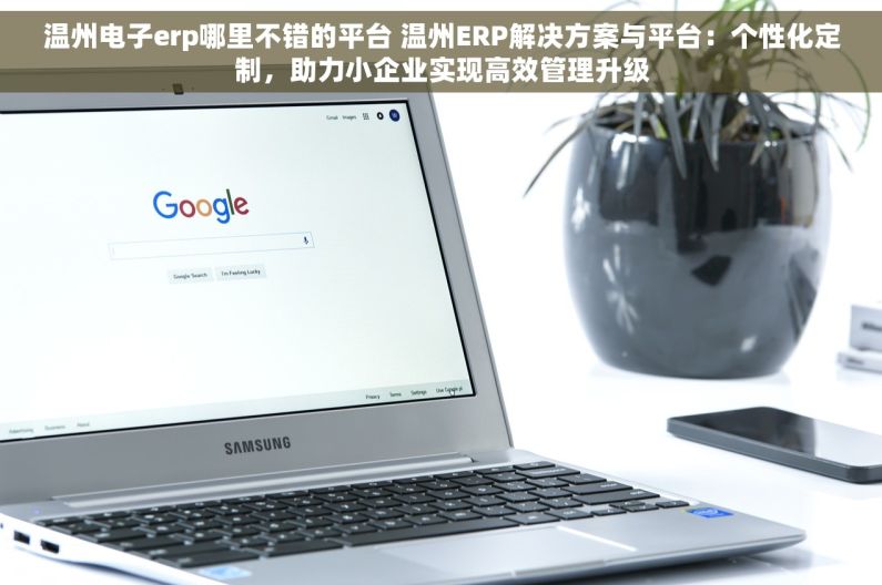 温州电子erp哪里不错的平台 温州ERP解决方案与平台：个性化定制，助力小企业实现高效管理升级